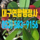 신증행정사 이미지