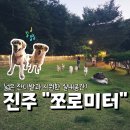 진주유치원 | 경상남도 진주_ 대형견 놀이터, 쪼로미터 대관 내돈내산 후기