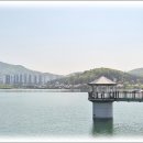 제703회 행복걷기/백운호수 회계보고 이미지