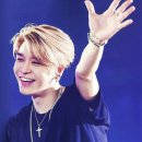 뿌리깊은나무 이미지