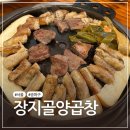 [서울 송파구] 장지역곱창 35년된 장지골양곱창 본점 곱이 가득찬 곱창 찐맛집
