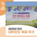 안산-대부-대부-3 | 2025년 안산 대부포도 축제 후기