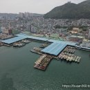 부산공동어시장 이미지