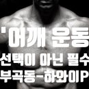 하와이피티 이미지