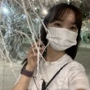 예쁨속눈썹 - 진안군 | 예쁨속눈썹