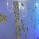 금천달성농장 | 블로그 주제 모음집