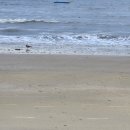 벨라동물병원 이미지