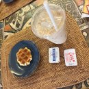 세도나중문 풀빌라 | 제주도 중문 풀빌라 - 세도나중문풀빌라 (A타입 자쿠지 겨울 수영장 후기)