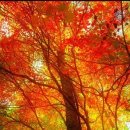 바람아래 이미지