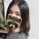 이햄찌의 일상