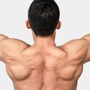 올바른 헤어 | 라우쉬 스위스 허벌 헤어 토닉 솔직 후기: 두피 열감 잡는 올바른 사용법