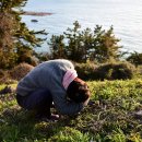 도산일주로 이미지