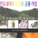 금광자원 이미지