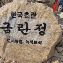 금란정 이미지
