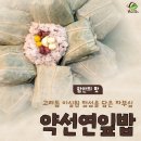디자인노바 네이버블로그