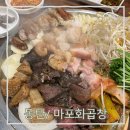 2동탄에서 유명한 모듬곱창에 5가지가 들어가는 마포화곱창_내돈내산