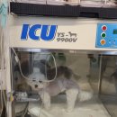 오룡 동물병원 이미지