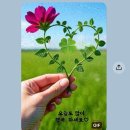 구원받은 새사람!🩷🩷 이미지