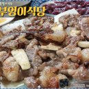 부엉이식당 이미지