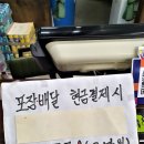 물고기잡스 이미지