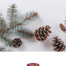 상쾌한약국 이미지