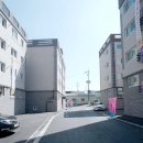 수팰리스 이미지