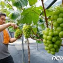 영동할인마트 이미지