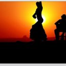 [기초] 댄스스포츠 이미지