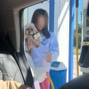 바쁘고 바쁜 가을 일상