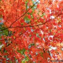 햇살내리는 민박 이미지