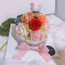 라이스앤케익 이미지