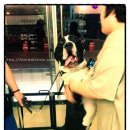 세븐동물병원 이미지