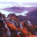 사진작가반 이미지