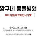 짱구네 동물병원 이미지