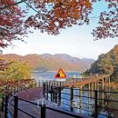 의암 스카이워크 이미지