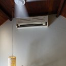 더 벨르 (The Belle) 이미지