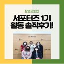 장승포농협 서포터즈 1기 활동 솔직후기!