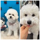 이뻐지개 이미지