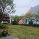 남천성당 | 남천성당 주님부활대축일 후기 및 재미로 하는 지식테스트