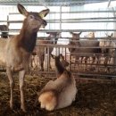 모후농장 이미지