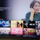 가족영화 ‘민들레’ IP-TV 네트워크로 상영중 이미지