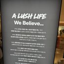 러쉬롯데월드몰점 | 📍 러쉬 롯데월드몰점 방문후기!