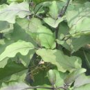 주형농장 이미지