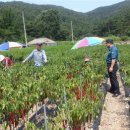 상서파출소 이미지