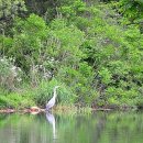 새터주유소 이미지