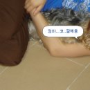 한비 이미지