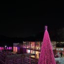 허브팜 | 포천 허브아일랜드 아이랑 커플 모두 즐거운 겨울 가볼만한곳 추천