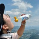 오투마트 - 군산시 | 운동할 때 마시기 좋은 농심 파워오투 망고향 솔직 후기