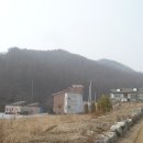 용곡1리 티스토리