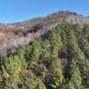 애플공인중개사사무소 이미지